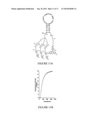 MULTI-ACCEPTOR MOLECULAR PROBES AND APPLICATIONS THEREOF diagram and image