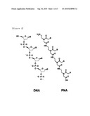 Method for Selective Labeling and Detection of Target Nucleic Acids Using Immobilized Peptide Nucleic Acid Probes diagram and image