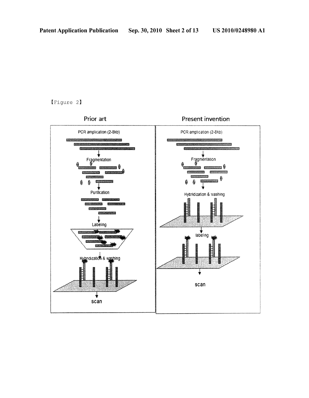 Method for Selective Labeling and Detection of Target Nucleic Acids Using Immobilized Peptide Nucleic Acid Probes - diagram, schematic, and image 03