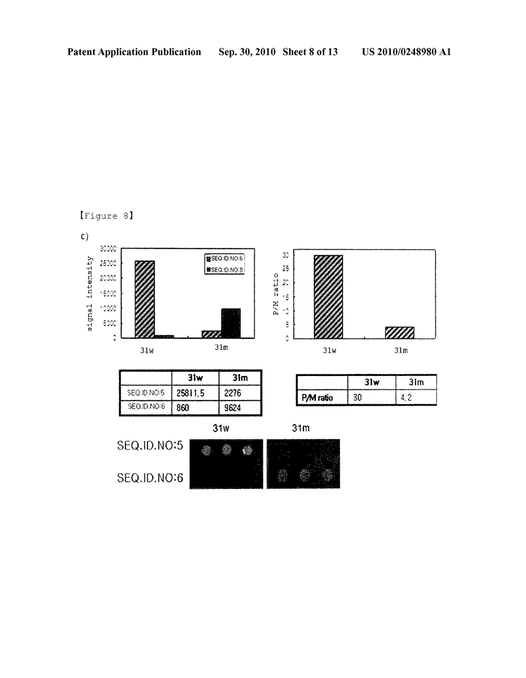 Method for Selective Labeling and Detection of Target Nucleic Acids Using Immobilized Peptide Nucleic Acid Probes - diagram, schematic, and image 09