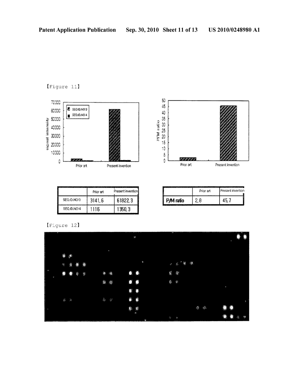 Method for Selective Labeling and Detection of Target Nucleic Acids Using Immobilized Peptide Nucleic Acid Probes - diagram, schematic, and image 12