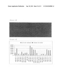 Method for Selective Labeling and Detection of Target Nucleic Acids Using Immobilized Peptide Nucleic Acid Probes diagram and image