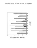 siRNA targeting ribonucleotide reductase M2 polypeptide (RRM2 or RNR-R2) diagram and image