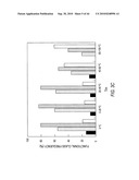 siRNA targeting ribonucleotide reductase M2 polypeptide (RRM2 or RNR-R2) diagram and image