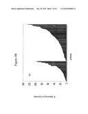 siRNA targeting ribonucleotide reductase M2 polypeptide (RRM2 or RNR-R2) diagram and image