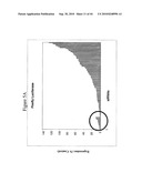 siRNA targeting ribonucleotide reductase M2 polypeptide (RRM2 or RNR-R2) diagram and image