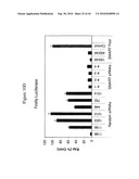 siRNA targeting ribonucleotide reductase M2 polypeptide (RRM2 or RNR-R2) diagram and image