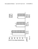 siRNA targeting ribonucleotide reductase M2 polypeptide (RRM2 or RNR-R2) diagram and image