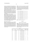 siRNA targeting ribonucleotide reductase M2 polypeptide (RRM2 or RNR-R2) diagram and image