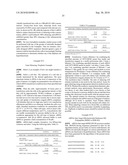 siRNA targeting ribonucleotide reductase M2 polypeptide (RRM2 or RNR-R2) diagram and image