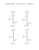 METAL-BINDING COMPOUNDS AND USES THEREFOR diagram and image