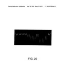 METAL-BINDING COMPOUNDS AND USES THEREFOR diagram and image