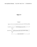 METHODS FOR USING VASOPRESSIN ANTAGONISTS WITH ANTHRACYCLINE CHEMOTHERAPY AGENTS TO REDUCE CARDIOTOXICITY AND/OR IMPROVE SURVIVAL diagram and image