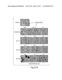 BIARYL COMPOSITIONS AND METHODS FOR MODULATING A KINASE CASCADE diagram and image