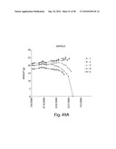 BIARYL COMPOSITIONS AND METHODS FOR MODULATING A KINASE CASCADE diagram and image