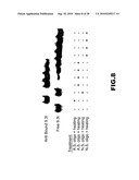 MODULATORS OF PHARMACOLOGICAL AGENTS diagram and image