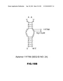 MODULATORS OF PHARMACOLOGICAL AGENTS diagram and image