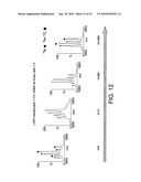 COMPOUND AND USE THEREOF IN THE TREATMENT OF AMYLOIDOSIS diagram and image