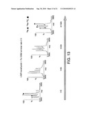 COMPOUND AND USE THEREOF IN THE TREATMENT OF AMYLOIDOSIS diagram and image