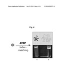 HYBRID PARTICE COMPOSITE STRUCTURES WITH REDUCED SCATTERING diagram and image