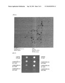 HYPERBRANCHED POLYMER HAVING NITROXYL GROUP diagram and image