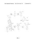 IMMOBILIZING MOLECULES ON A SOLID SUPPORT diagram and image