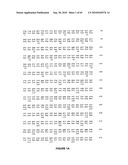 NELL Peptide Expression Systems and Bone Formation Activity of NELL Peptide diagram and image