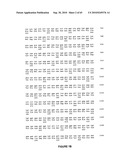 NELL Peptide Expression Systems and Bone Formation Activity of NELL Peptide diagram and image