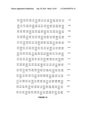 NELL Peptide Expression Systems and Bone Formation Activity of NELL Peptide diagram and image