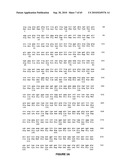 NELL Peptide Expression Systems and Bone Formation Activity of NELL Peptide diagram and image