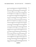 NELL Peptide Expression Systems and Bone Formation Activity of NELL Peptide diagram and image