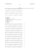 NELL Peptide Expression Systems and Bone Formation Activity of NELL Peptide diagram and image