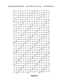 NELL Peptide Expression Systems and Bone Formation Activity of NELL Peptide diagram and image