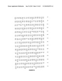 NELL Peptide Expression Systems and Bone Formation Activity of NELL Peptide diagram and image