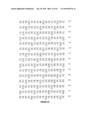 NELL Peptide Expression Systems and Bone Formation Activity of NELL Peptide diagram and image