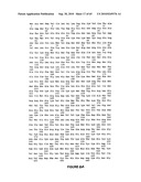 NELL Peptide Expression Systems and Bone Formation Activity of NELL Peptide diagram and image