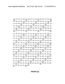 NELL Peptide Expression Systems and Bone Formation Activity of NELL Peptide diagram and image