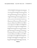 NELL Peptide Expression Systems and Bone Formation Activity of NELL Peptide diagram and image