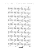 NELL Peptide Expression Systems and Bone Formation Activity of NELL Peptide diagram and image