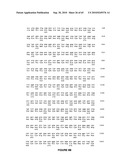 NELL Peptide Expression Systems and Bone Formation Activity of NELL Peptide diagram and image