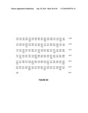 NELL Peptide Expression Systems and Bone Formation Activity of NELL Peptide diagram and image