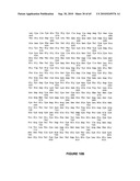 NELL Peptide Expression Systems and Bone Formation Activity of NELL Peptide diagram and image