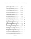 NELL Peptide Expression Systems and Bone Formation Activity of NELL Peptide diagram and image