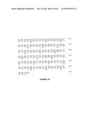 NELL Peptide Expression Systems and Bone Formation Activity of NELL Peptide diagram and image