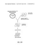 NELL Peptide Expression Systems and Bone Formation Activity of NELL Peptide diagram and image