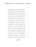 NELL Peptide Expression Systems and Bone Formation Activity of NELL Peptide diagram and image