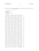 NELL Peptide Expression Systems and Bone Formation Activity of NELL Peptide diagram and image