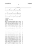 NELL Peptide Expression Systems and Bone Formation Activity of NELL Peptide diagram and image