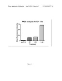 ENGINEERED HYBIRD PHAGE VECTORS FOR THE DESIGN AND THE GENERATION OF A HUMAN NON-ANTIBODY PEPTIDE OR PROTEIN PHAGE LIBRARY VIA FUSION TO pIX OF M13 PHAGE diagram and image