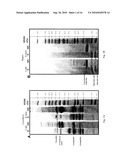 PROCESS OF AQUEOUS PROTEIN EXTRACTION FROM BRASSICACEAE OILSEEDS diagram and image